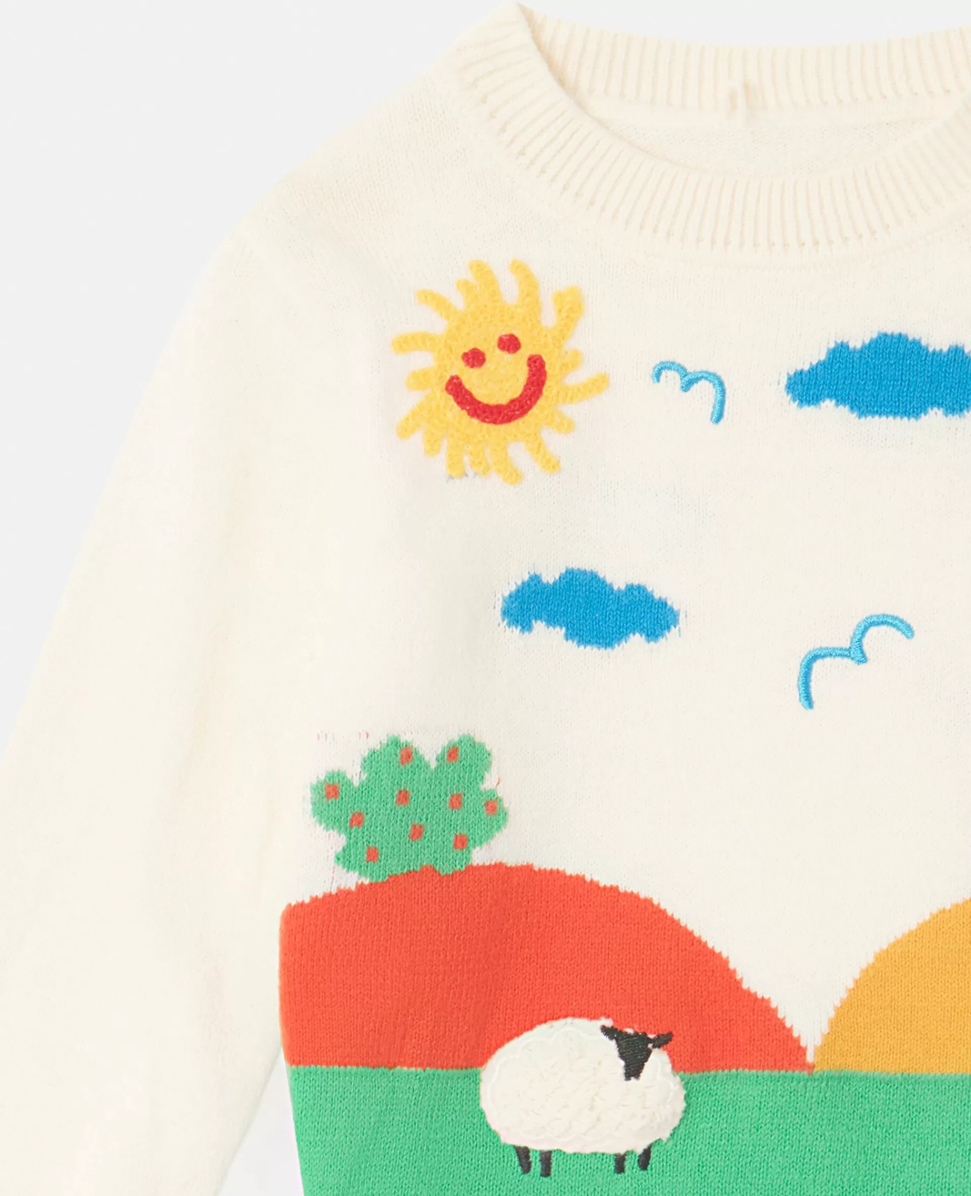 Discount Farmyard Graphic Knitted Sweater Kids Sweatshirt And T-shirts | Baby Girls